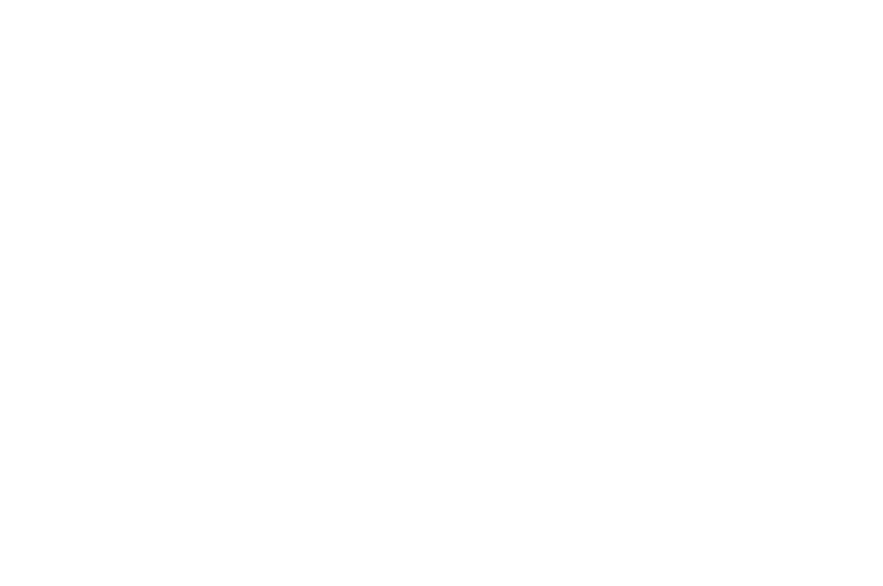 OFFICIAL SELECTION – Barcelona Indie Awards – 2025-2